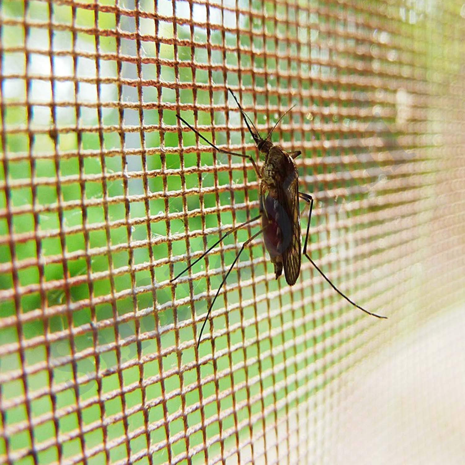 window mosquito mesh